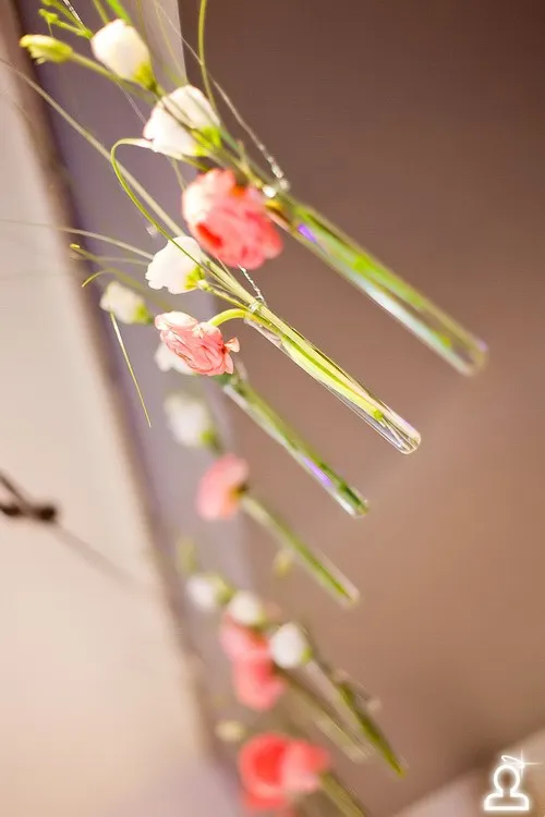 Printemps… fleurs… Paris