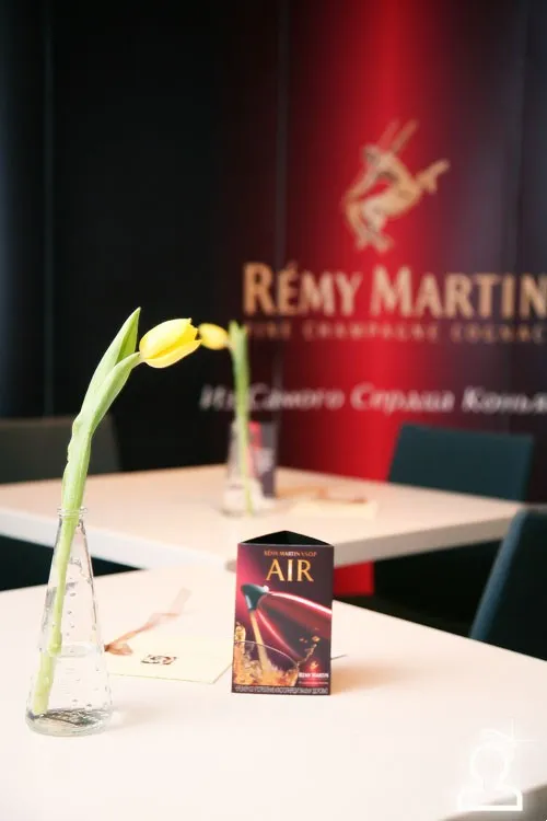 Вечеринка REMY AIR