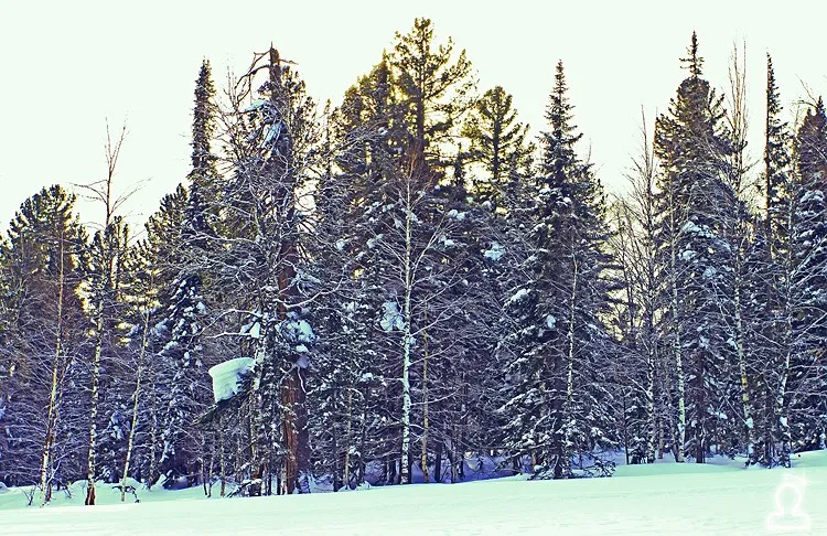 Немцы в Шерегеше