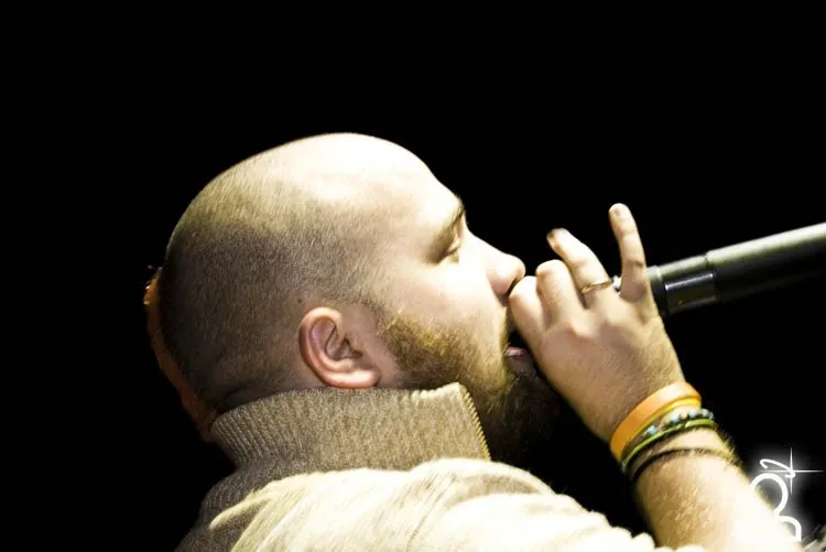 Sunvibes 2008 /манящие вибрации луны
