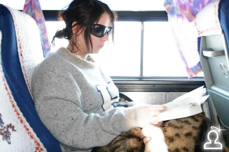 Кошкин bus ~ АЙС Бункер клуб