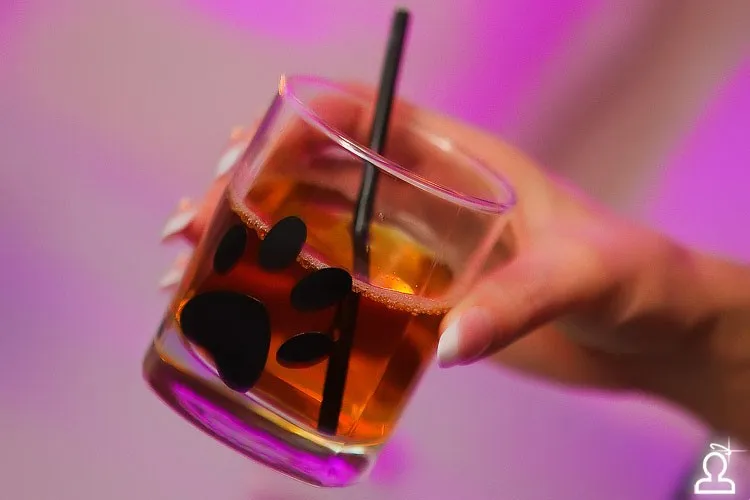 КИСКИ любят WHISKY