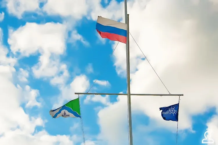 DOЖDЬ summer royal fest