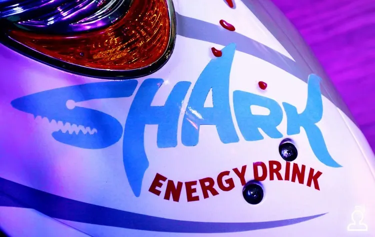 SHARK Energy party
