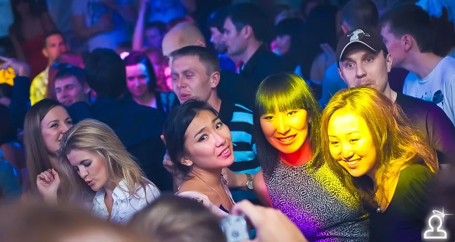 Кошкин сон