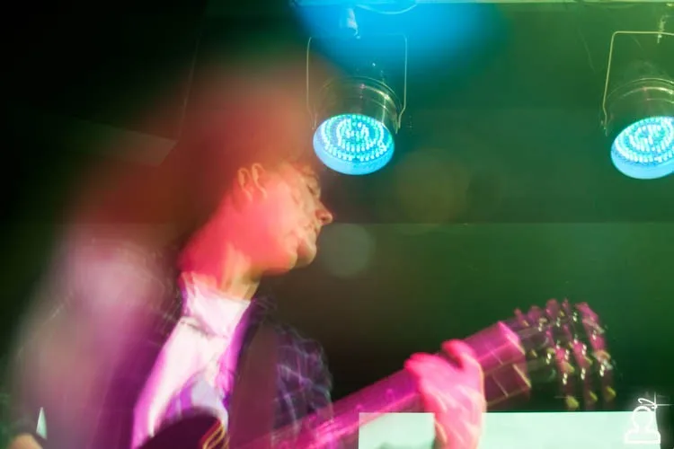 Punk TV & No Fuzz