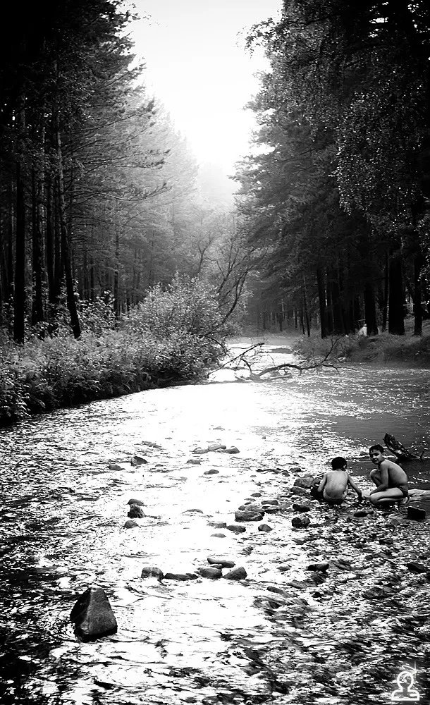 SunVibes 2009