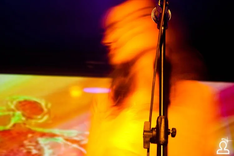 Punk TV & No Fuzz