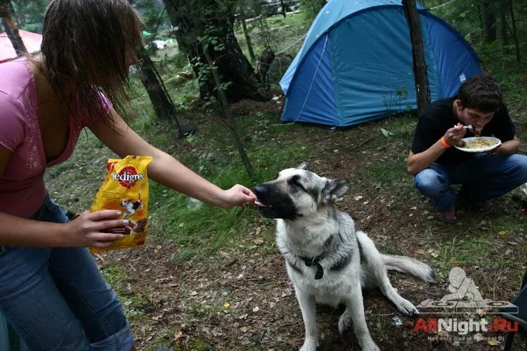 Sunvibes`06