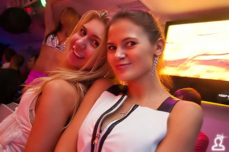 Shark energy party