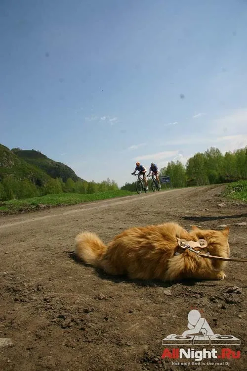 Drum&Bike фестиваль