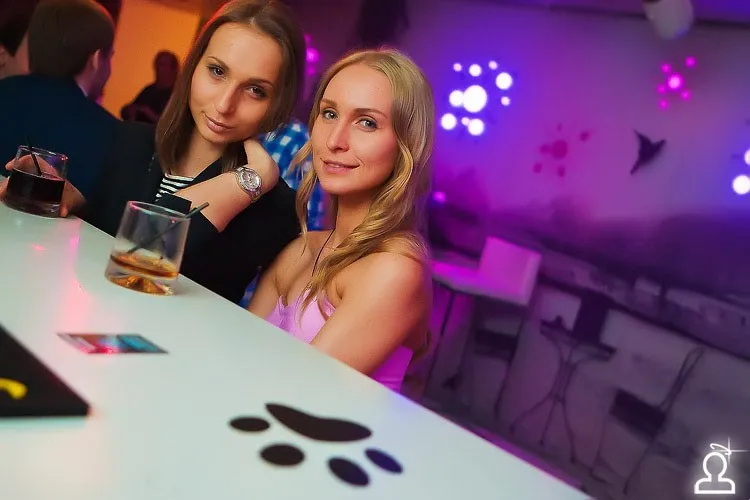 КИСКИ любят WHISKY