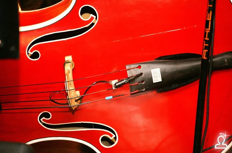 Live Music