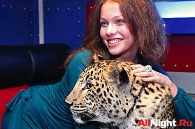 Голодная киска