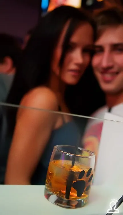 КИСКИ любят WHISKY
