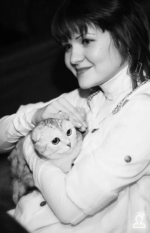 Ночь Мартовских Котов