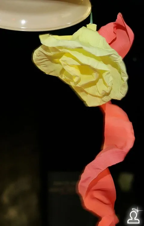 Flowers PARTY