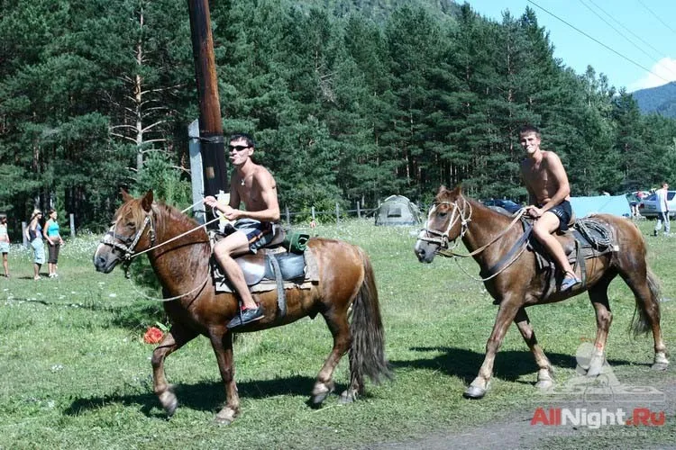 Sunvibes`06