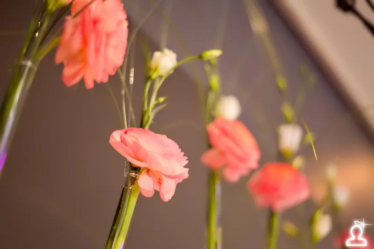 Printemps… fleurs… Paris