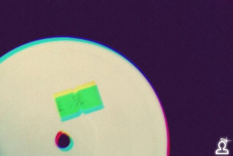 Регги-фест
