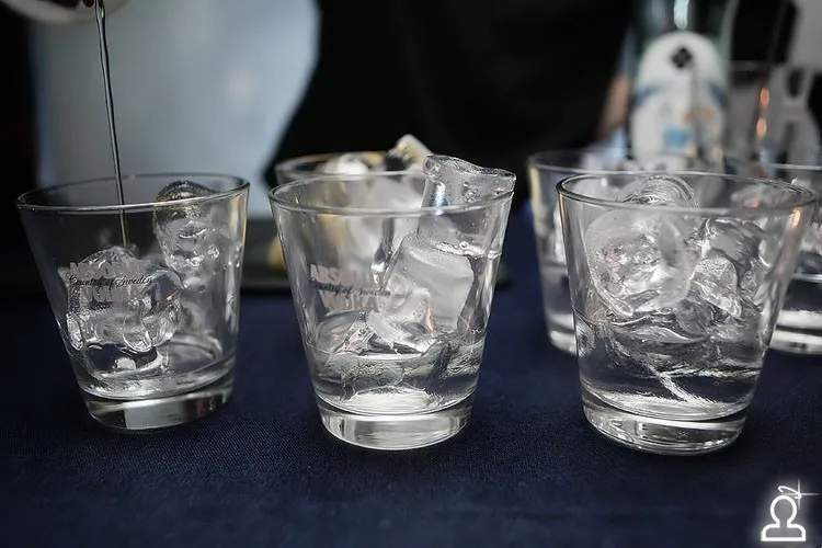 Ice christmas party