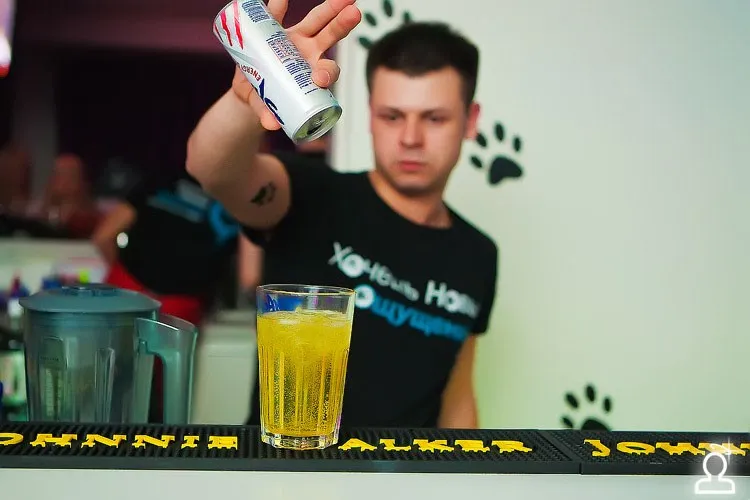 КИСКИ любят WHISKY