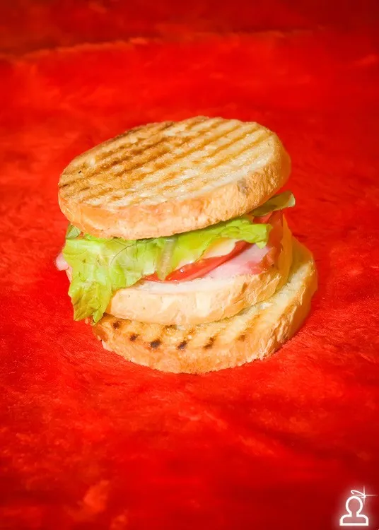 ELECTRO SANDWICH