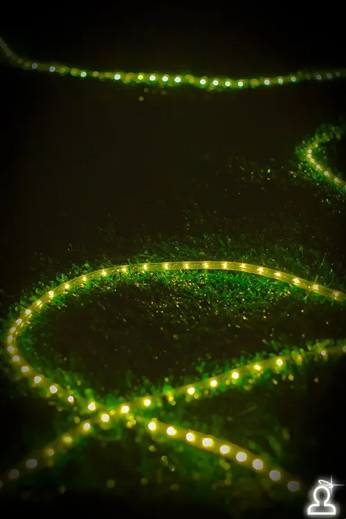 Uma Gamma Trance: The Copenhagen experience