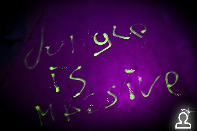 I LOVE JUNGLE / Mr.Kingston